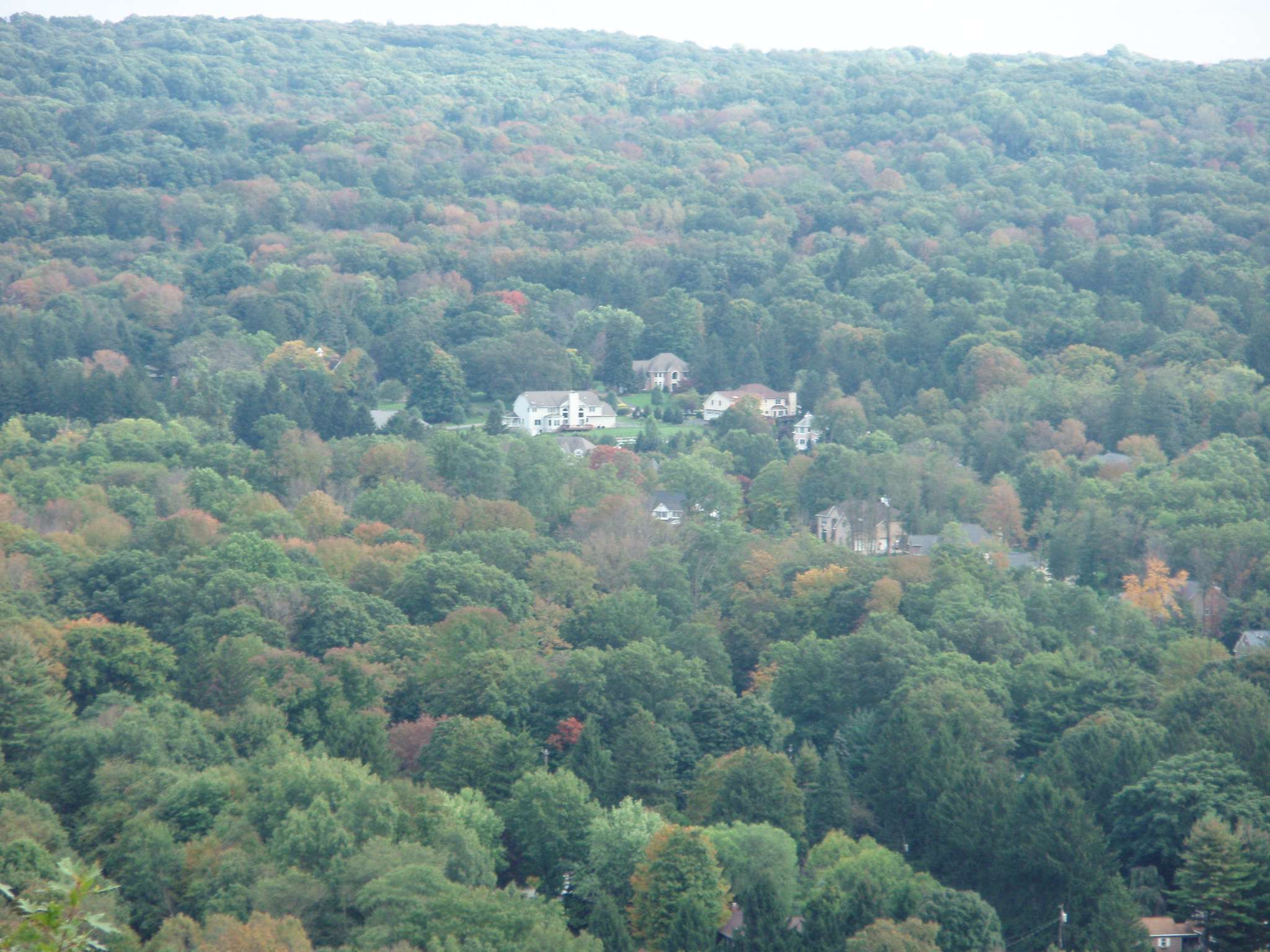 Places to Eat & Drink in Montebello, New York