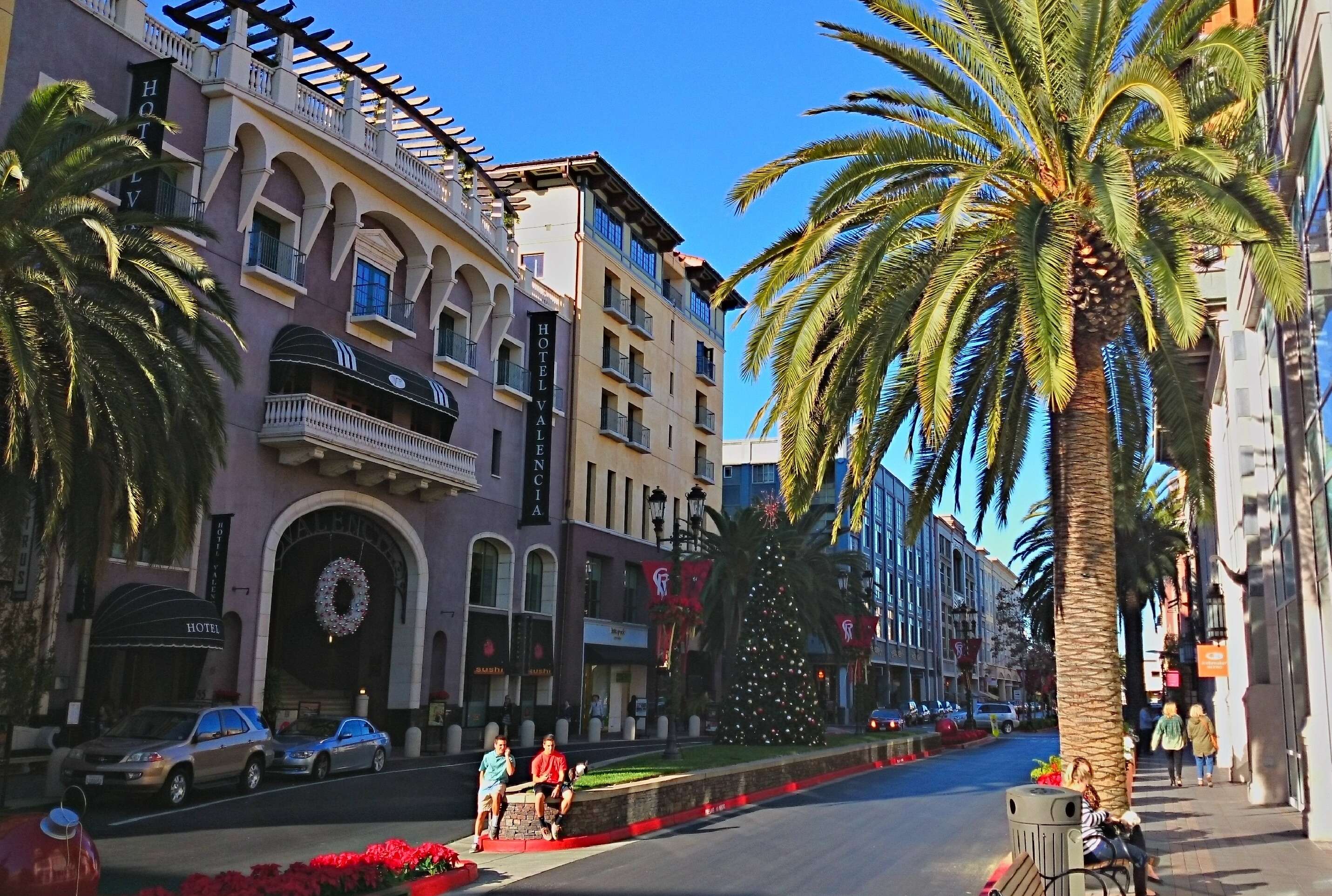 Places to Eat & Drink in San Jose, California