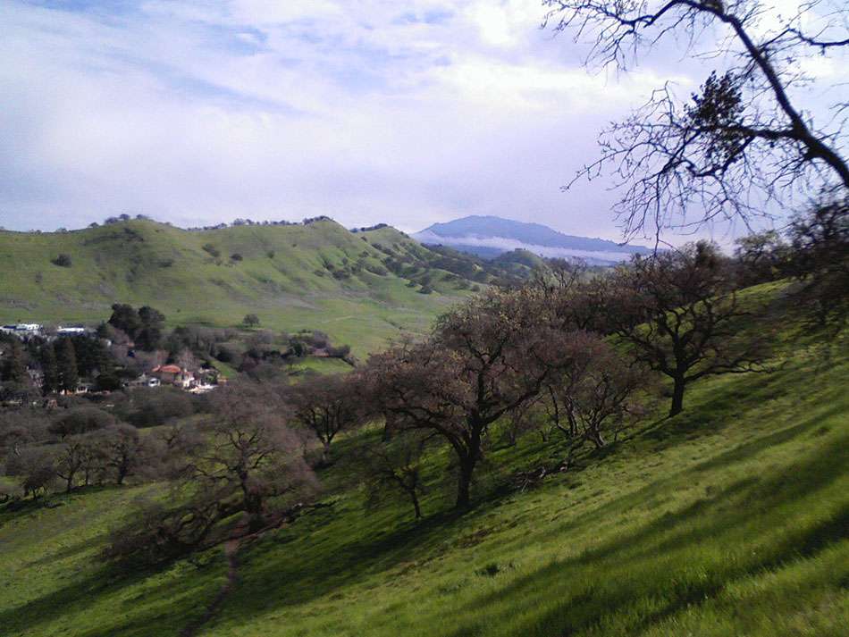 Places to Eat & Drink in Walnut Creek, California